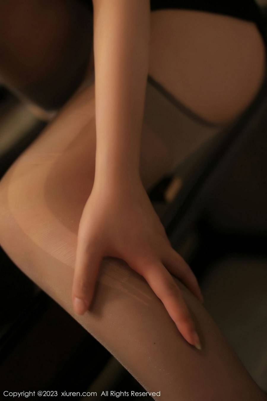 [XIUREN秀人网] 2023.02.24 NO.6317 林珊珊 [106P-880MB]