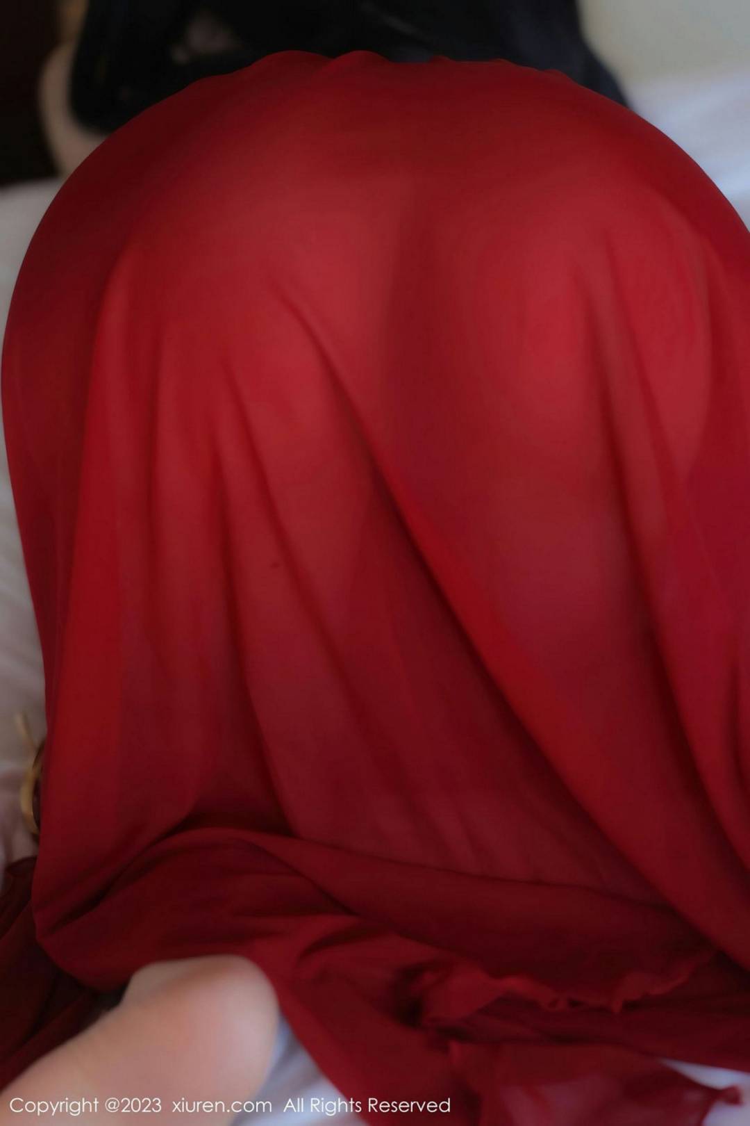 [XIUREN秀人网] 2023.04.21 NO.6613 林珊珊 [84P-735MB]