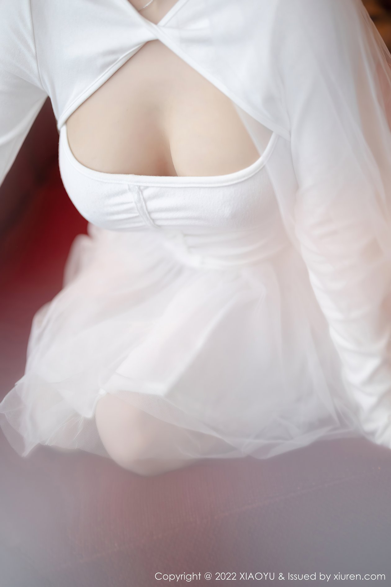 [XIAOYU语画界] 2022.03.18 VOL.739 杨晨晨Yome [72P-569MB]
